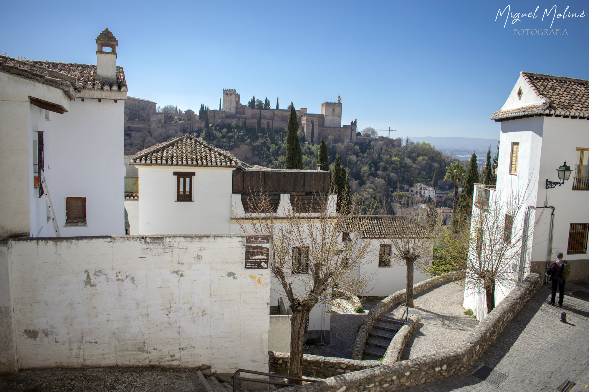 VISTA A LA ALHAMBRA