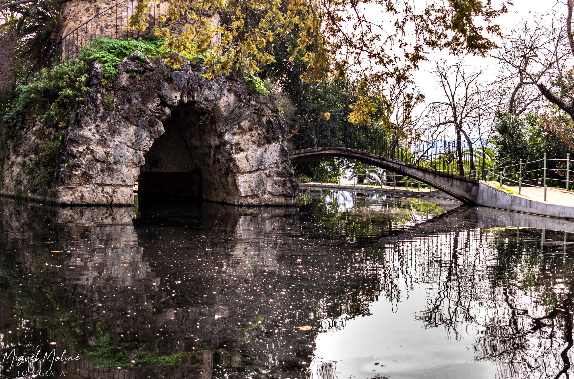 LAGO EN EL CARMEN DE LOS MARTIRES 5