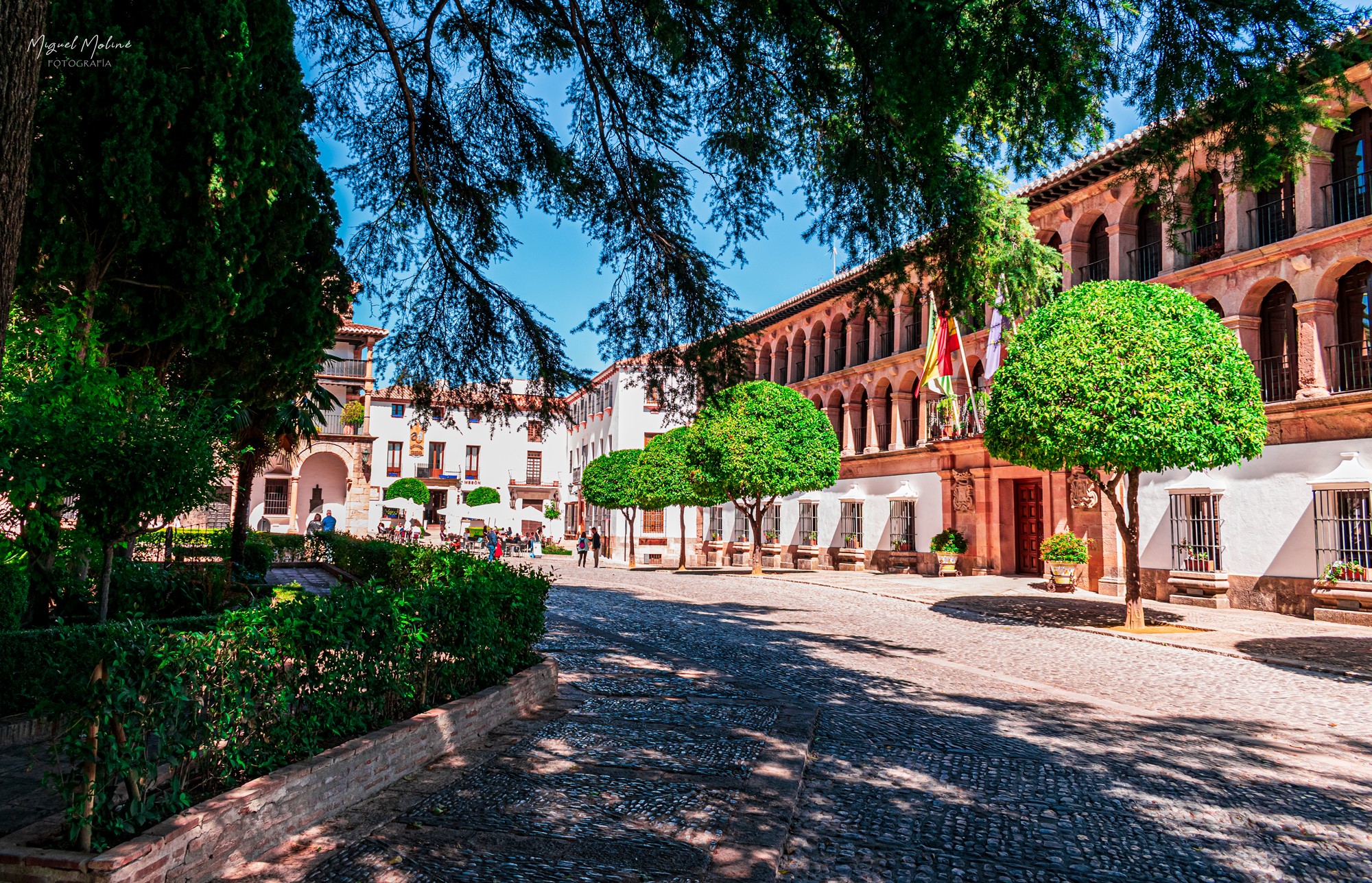 AYUNTAMIENTO DE RONDA