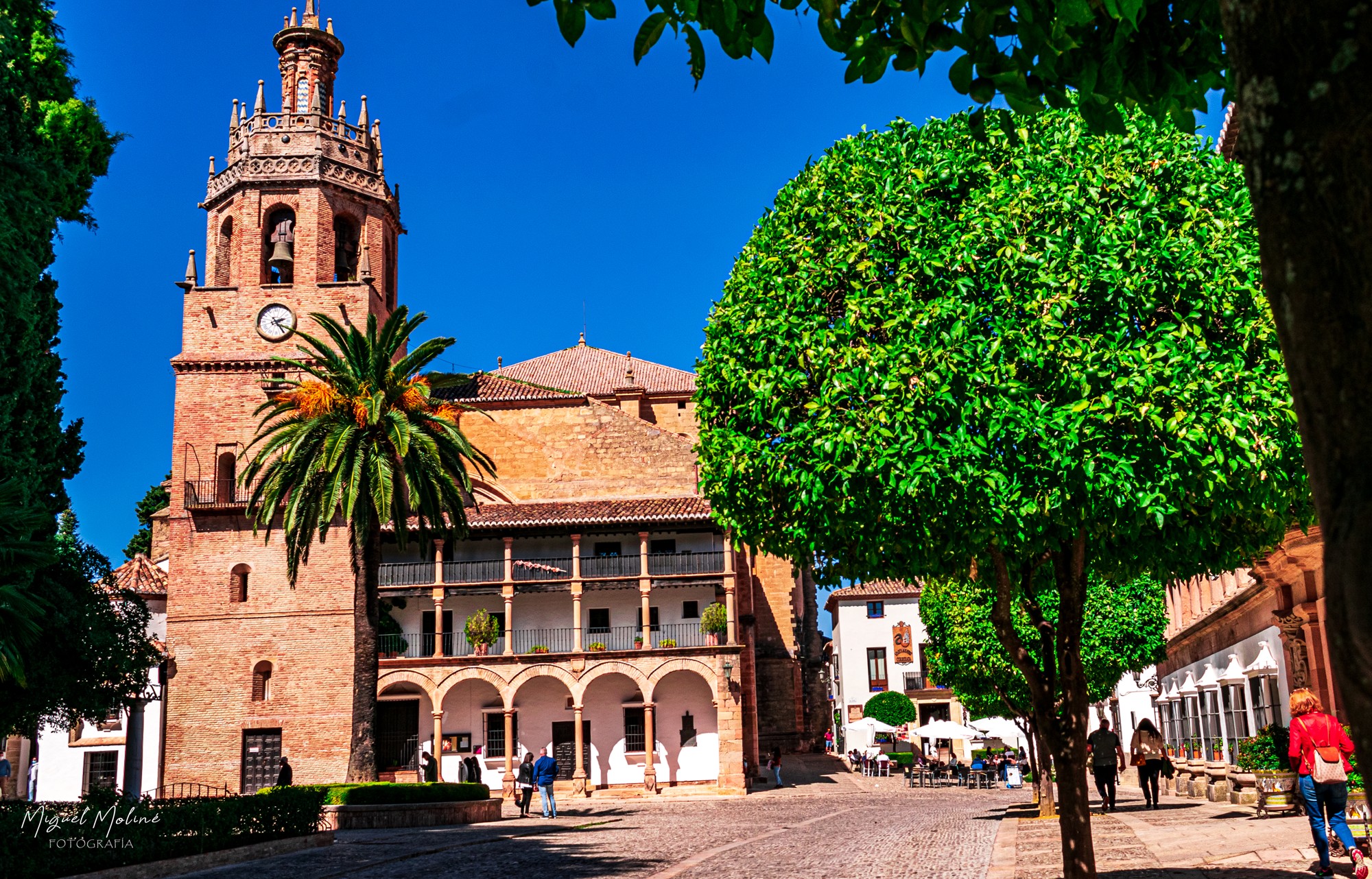 IGLESIA SANTA MARIA LA MAYOR 2
